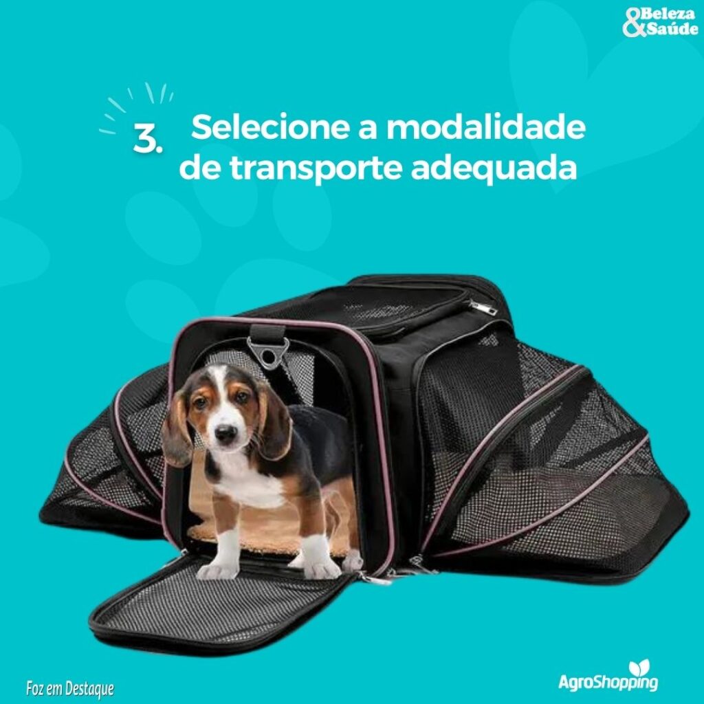 Como viajar viajar com cachorro