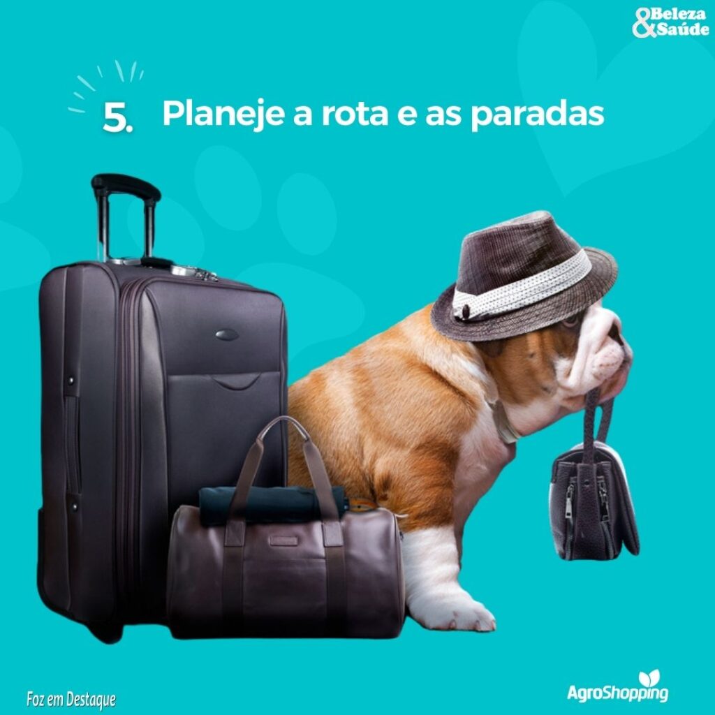 Como viajar viajar com cachorro