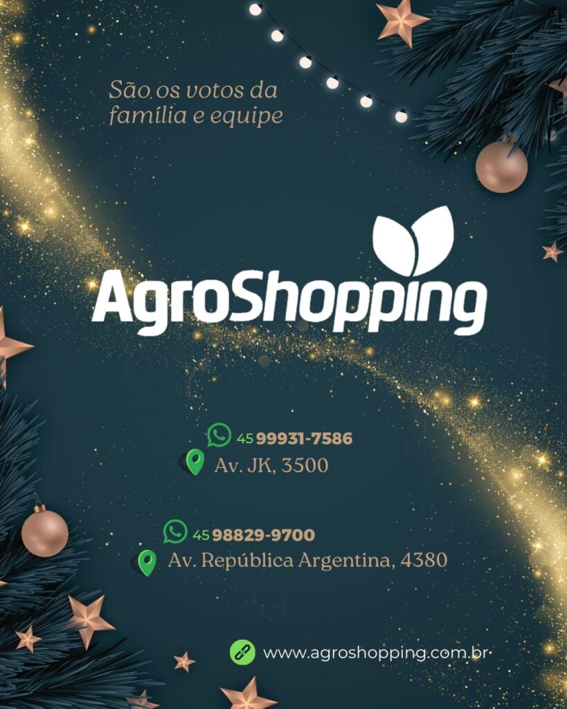 ÁRVORE DE NATAL FOZ EM DESTAQUE - AGROSHOPPING - MARLENE FRIZON ROMÃO