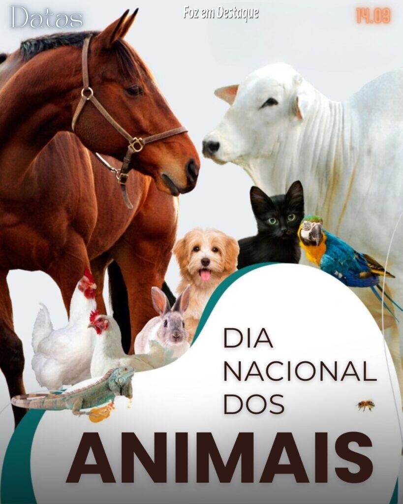 Datas 14 de Março 2024 Foz em Destaque - Dia Nacional dos Animais