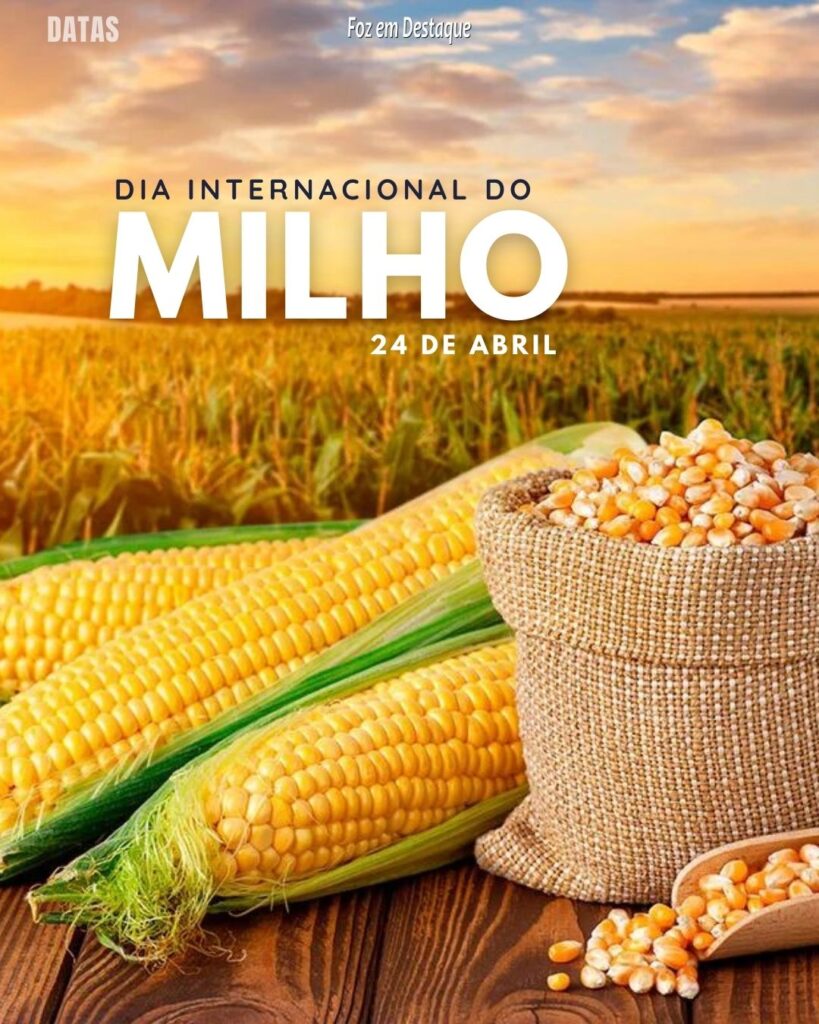 Dia Internacional do Milho - Datas 24 de Abril 2024