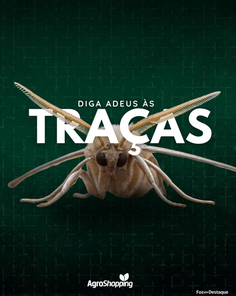Diga adeus às Traças com a AgroShopping