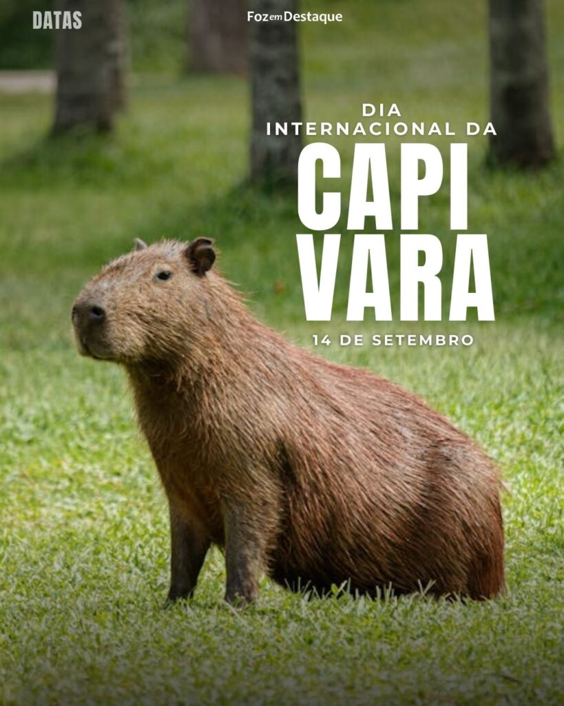 Dia Internacional da Capivara
Datas 14 de Setembro 2024