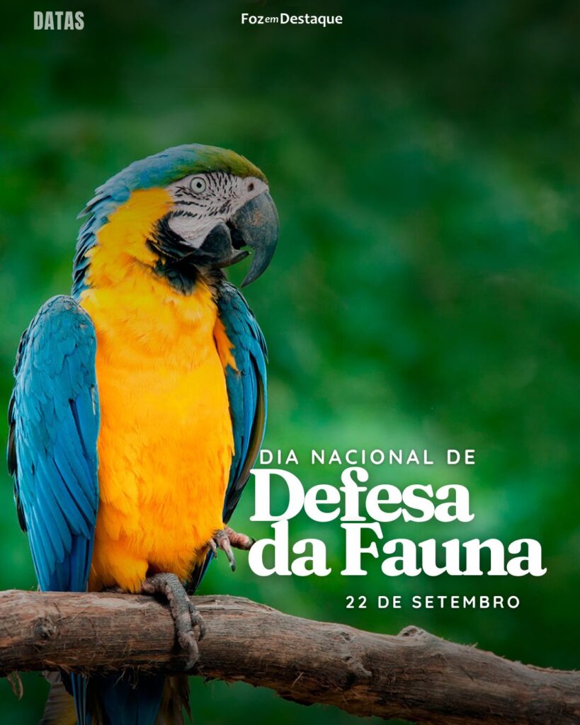 Dia Nacional de Defesa da Fauna
Foz em Destaque