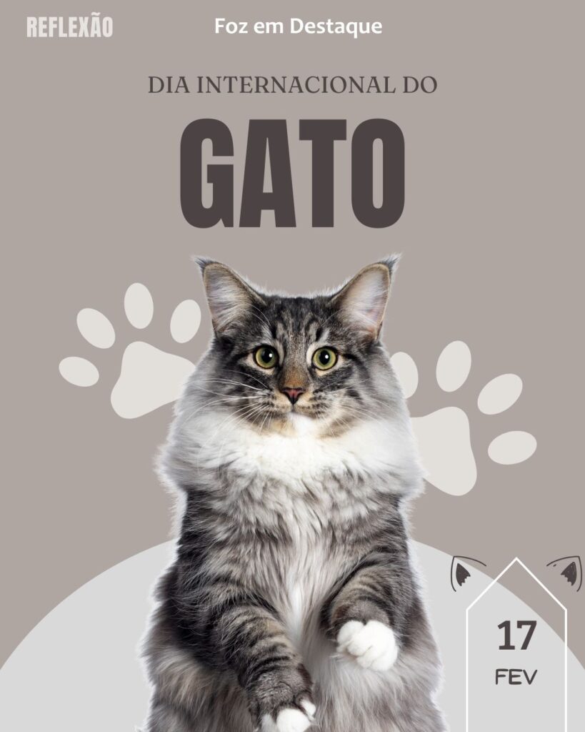 Dia Internacional do Gato
Datas 17 de Fevereiro 2025 Foz em Destaque "Sua Vida mais divertida"