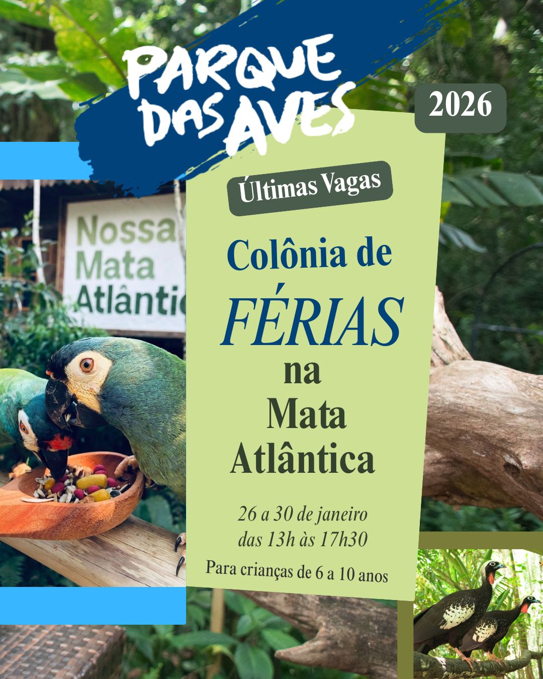 De 26 a 30 de janeiro, o Parque das Aves abre suas portas para uma nova edição de sua aclamada Colônia de Férias. 
Férias Parque das Aves