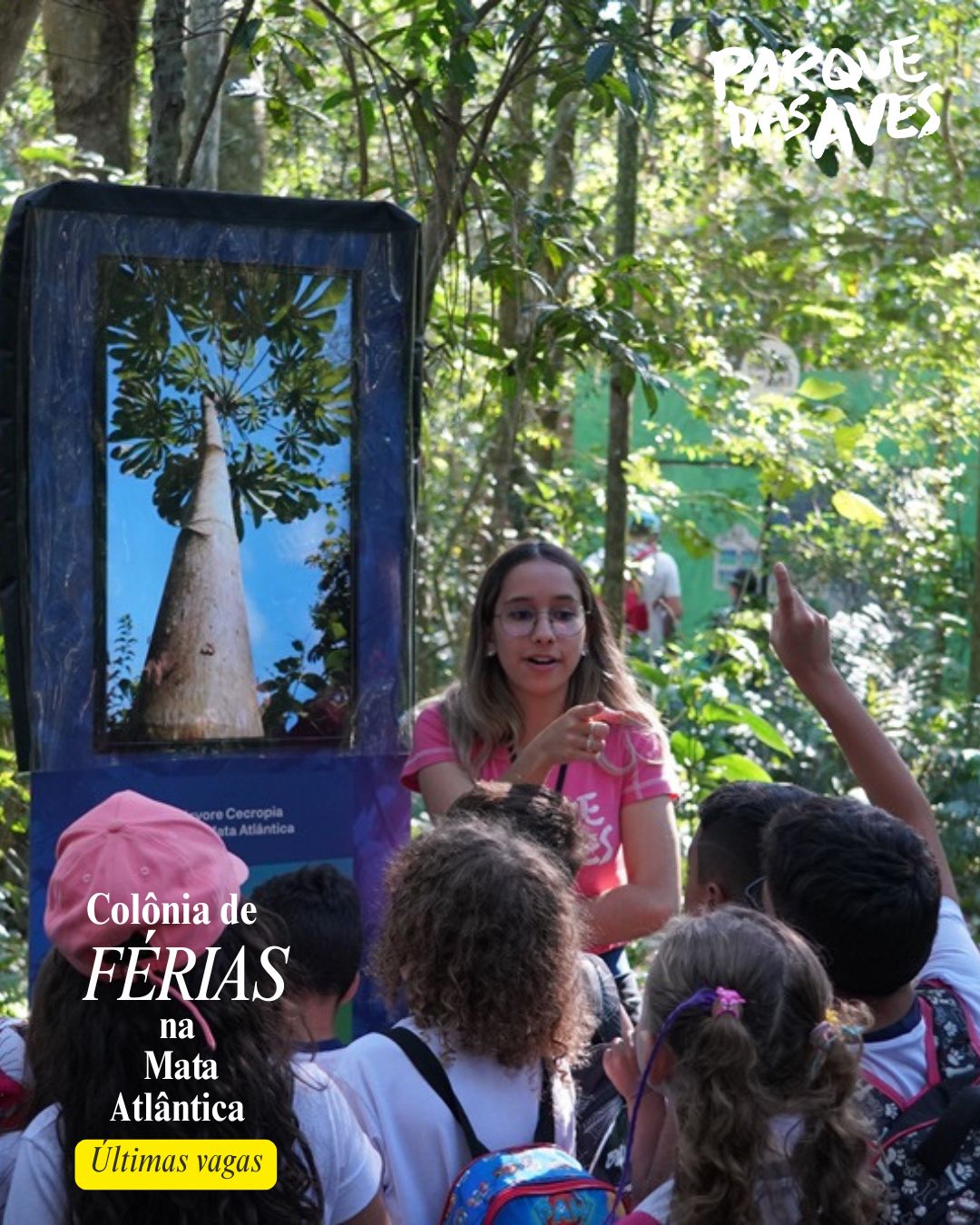 De 26 a 30 de janeiro, o Parque das Aves abre suas portas para uma nova edição de sua aclamada Colônia de Férias. 
Férias Parque das Aves