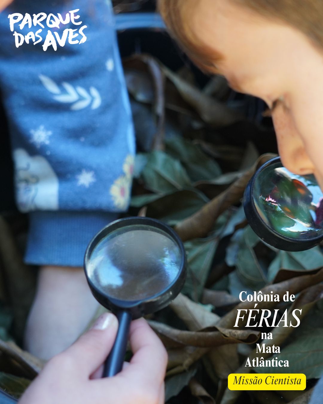 Férias Parque das Aves