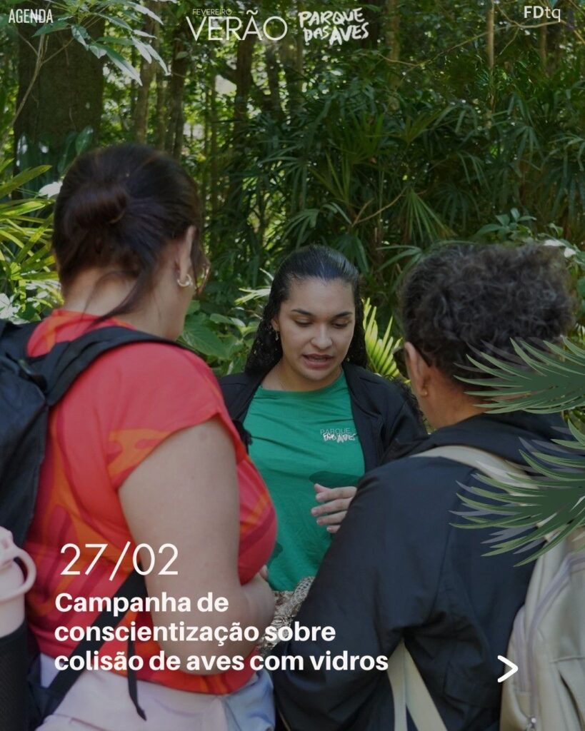 Agenda Parque das Aves - Verão
Exposição Reverse the Red Day
Exposição Carnaval Legal para Todos
Campanha de conscientização sobre colisão de aves com vidros
Clubinho Guardiões da Mata Atlântica