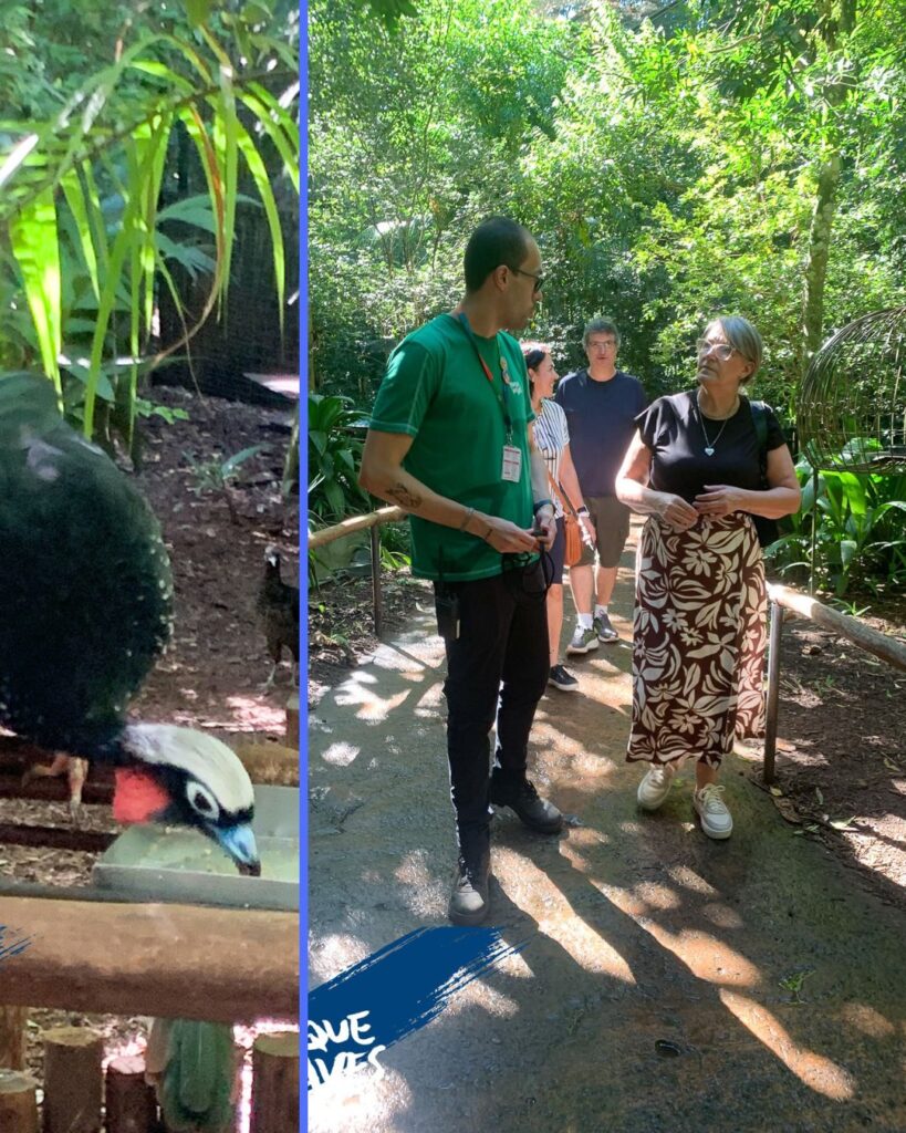 Parque das Aves Experiência 2026, Mathe8s do Marketing,
Bem Estar Animal
Melissca Correa
Carmel Croukamp
Anna-Sophie Helene Croukamp
Dra. Anna Croukamp
Foz em Destaque, FozEmDestaque