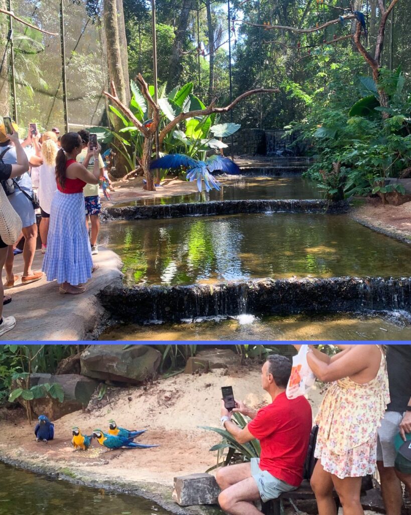 Parque das Aves Experiência 2026, Mathe8s do Marketing,
Bem Estar Animal
Melissca Correa
Carmel Croukamp
Anna-Sophie Helene Croukamp
Dra. Anna Croukamp
Foz em Destaque, FozEmDestaque