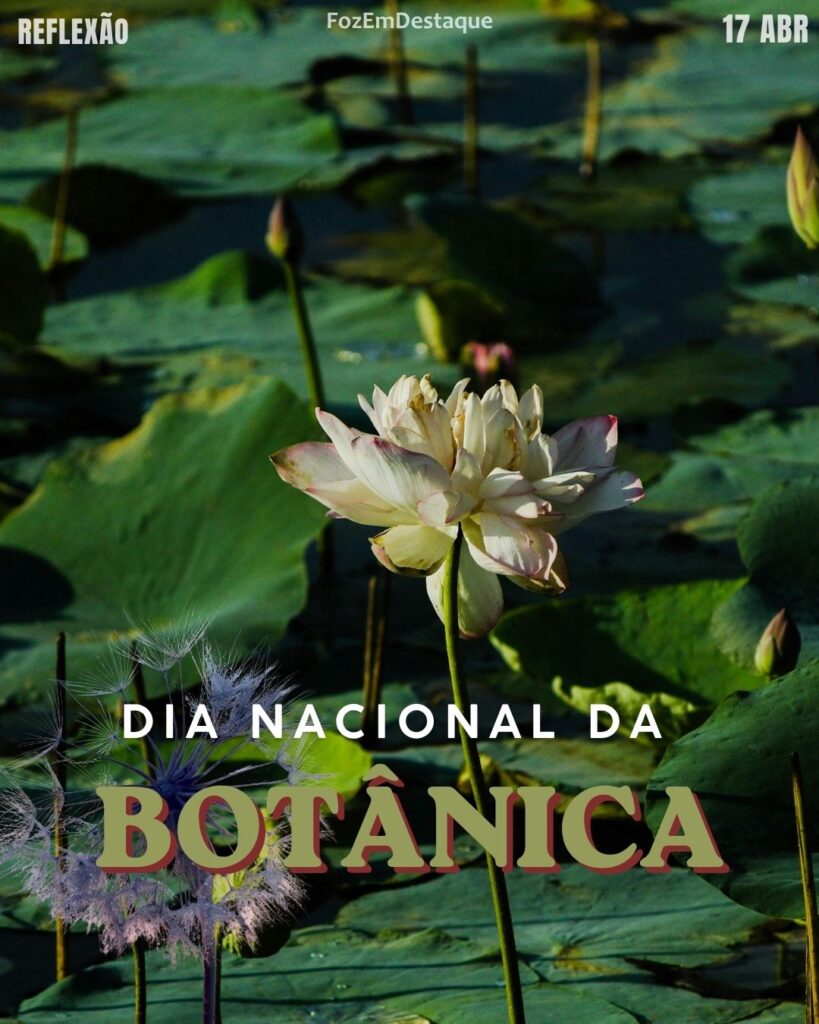 Datas Comemorativas 17/04